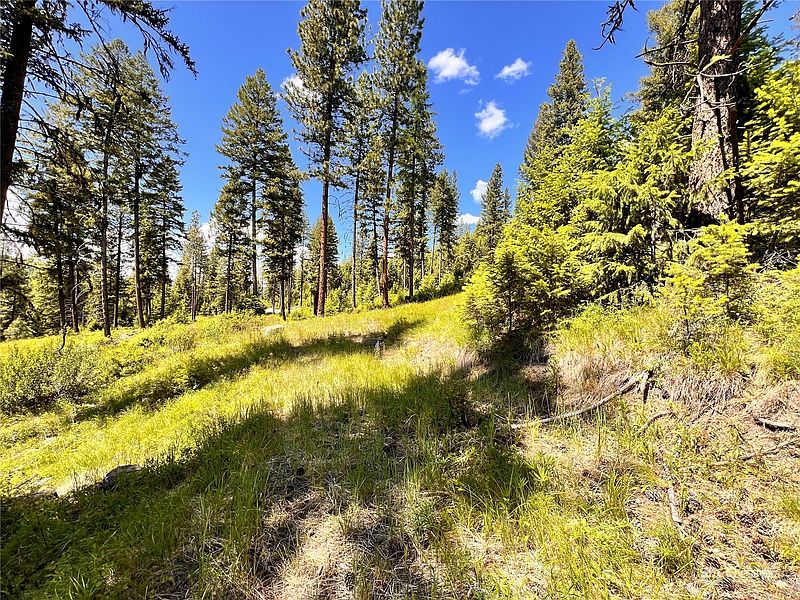 5th image of 0 TBD Old Kettle Falls Road