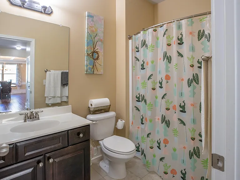 Guest bath- main floor