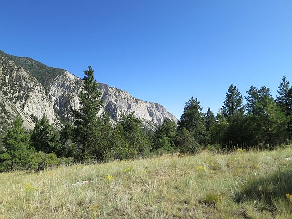 5th image of 18100 County Road 290