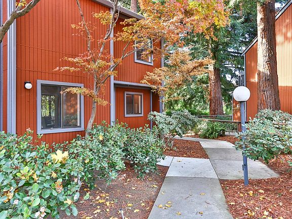 3rd image of 215 Cypress Point Dr