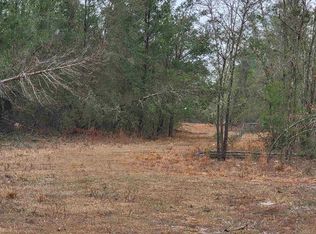 Vacant Se Parliament Trl, Lee, FL 32059