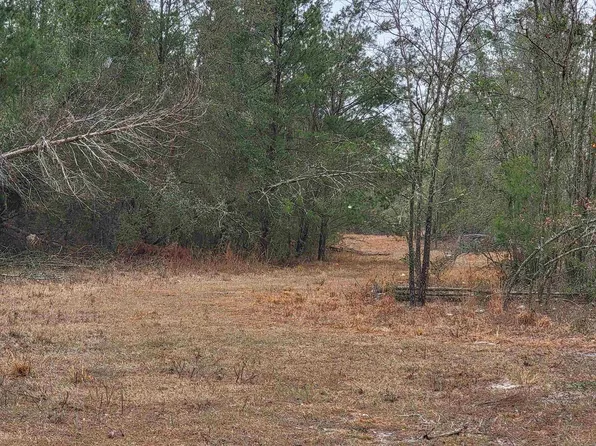 Vacant Se Parliament Trl, Lee, FL 32059