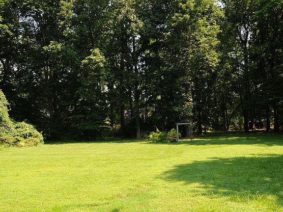 Large field behind the woods