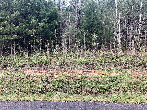 4th image of 290 Worthington Springs Dr