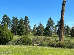 County Road N1334, Greer, AZ 85927