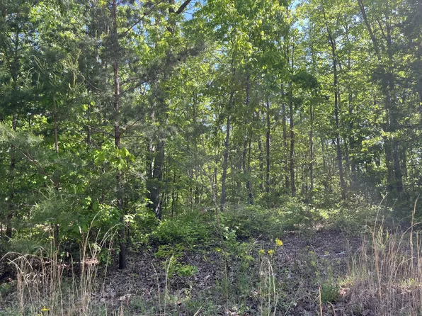 0 Bluff View Ln Lot 4, Spencer, TN 38585