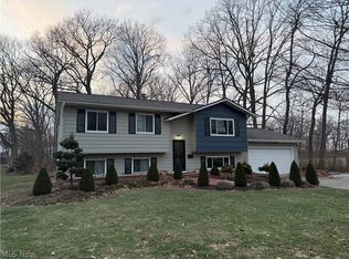 55 Grove Ave, Painesville, OH 44077