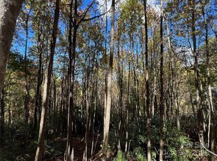 0 Wild Magnolia Way #46, Zirconia, NC 28790