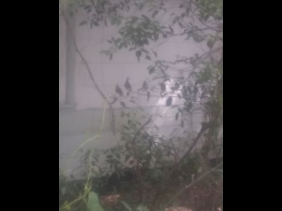 3rd image of 768 NE Jackson Ave