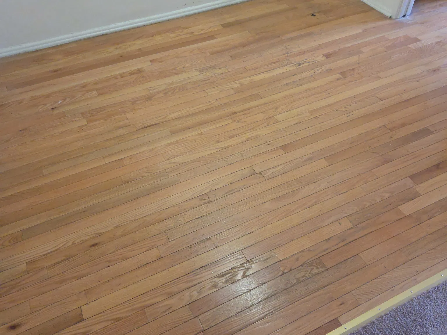 1 bed, 650 sqft, $2,250 — Photo 2