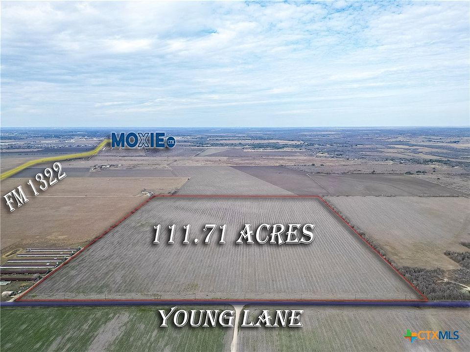 1st image of Young Ln