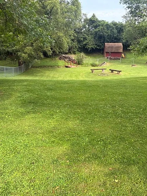 3 bed, 1000 sqft, $1,650 — Photo 3