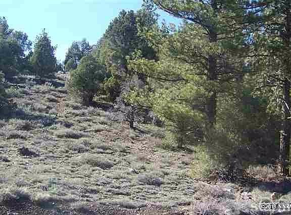 2nd image of 12 Silver Peak
