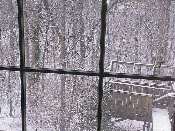 Winter view of tree house