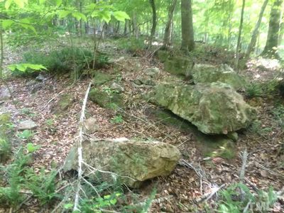 443 Dragonfly Trl, Chapel Hill, NC, 27517