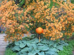 95 Hanks Hill Rd, Mansfield, CT 06268