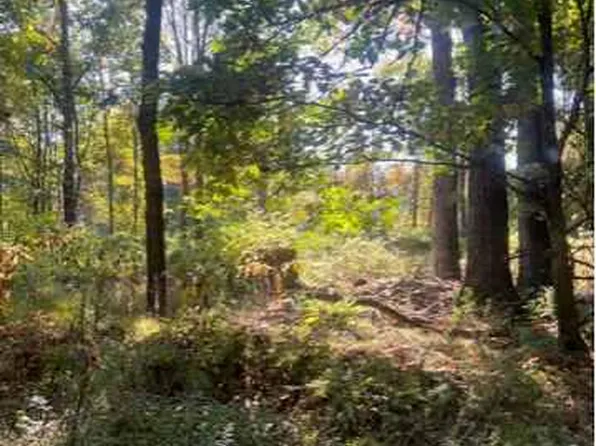 0 Susan Ln, Pt Matilda, PA 16870