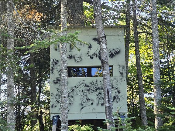 3rd image of 3 & 4 W Huckleberry Lake Rd