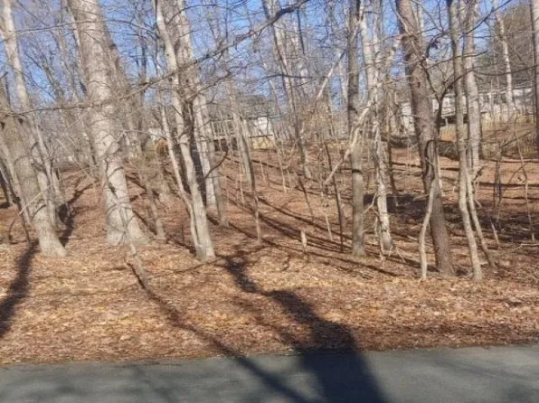 6 Barkley Ln, Palmyra, VA 22963