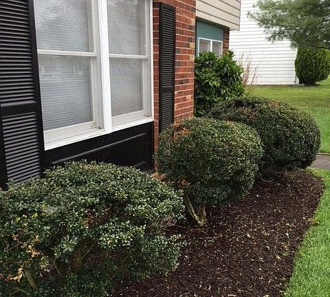 2nd image of 9641 Greenmeadow Cir