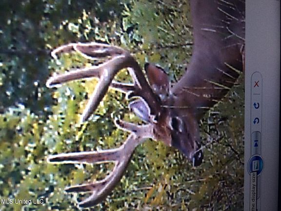 3rd image of 29160 Highway 430 S