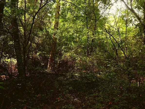0 Davis Rd, Pikeville, TN 37367
