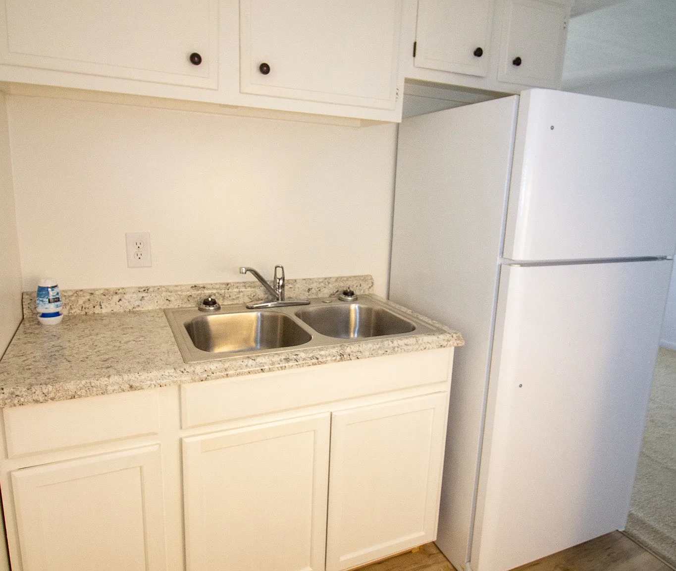 1 bed, 450 sqft, $850 — Photo 1