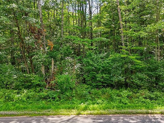 5th image of 13 acres on County Rd A