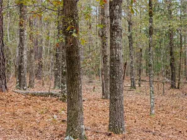 931 Hunter Rd #4, Ellaville, GA 31806