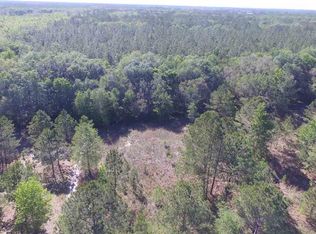 Vacant S 53 #SR-0, Madison, FL 32340