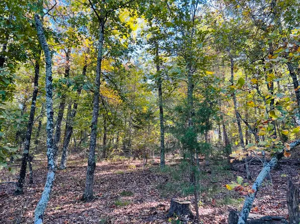 5A Old Larkin Rd, Melbourne, AR 72556