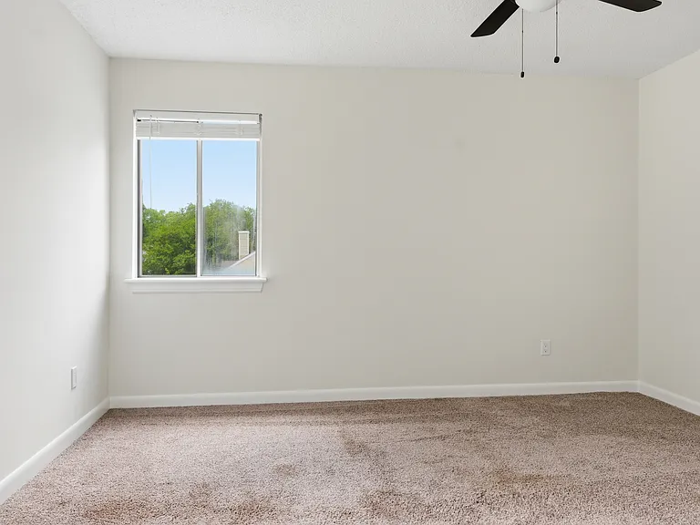 2044 Chicory St — Photo 21