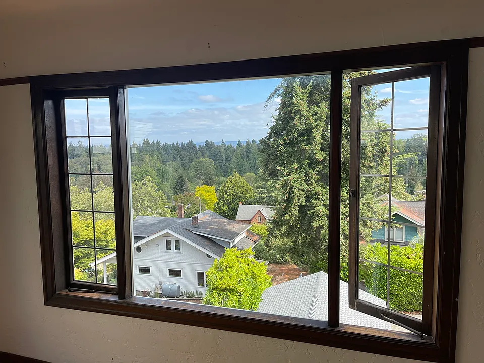 View from Living Room Window