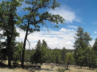 4665 Lookout Point Rd, Happy Jack, AZ 86024