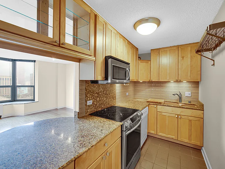 899 S Plymouth Ct #1602 — Photo 14