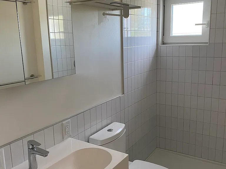 Ensuite bathroom in master bedroom; generous walk-in shower.