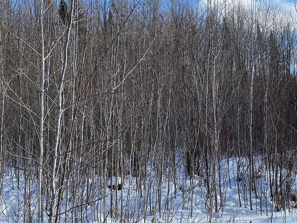 2nd image of Near Wilson Lake Rd