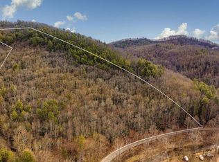 Roan Creek Rd, BUTLER, TN 37640