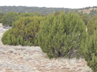 39 County Road 3034, Concho, AZ 85924