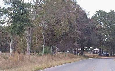 2nd image of 347 Shiloh Firetower Rd