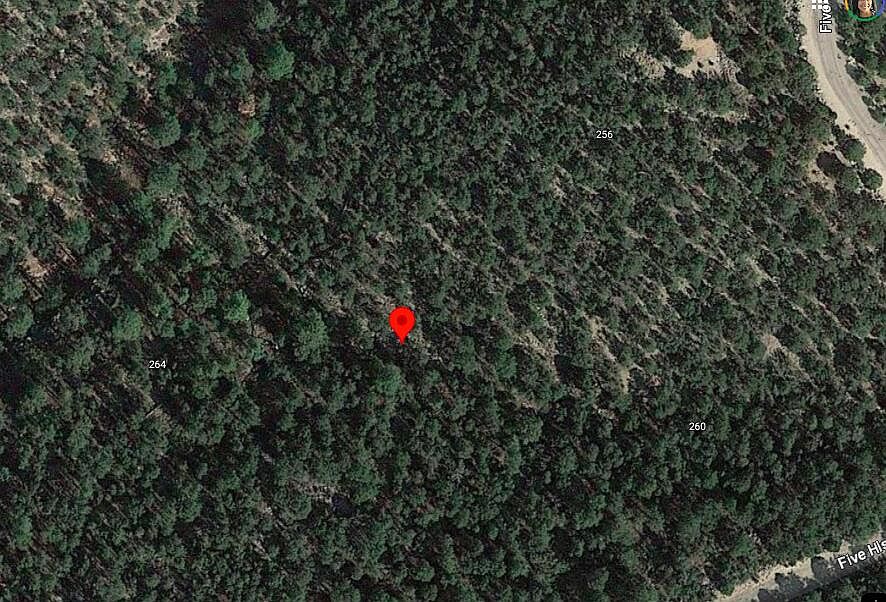 2nd image of 262 Five Hills Dr