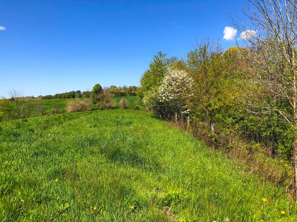 0 Morgan Rd TRACT 2, New Concord, OH 43762