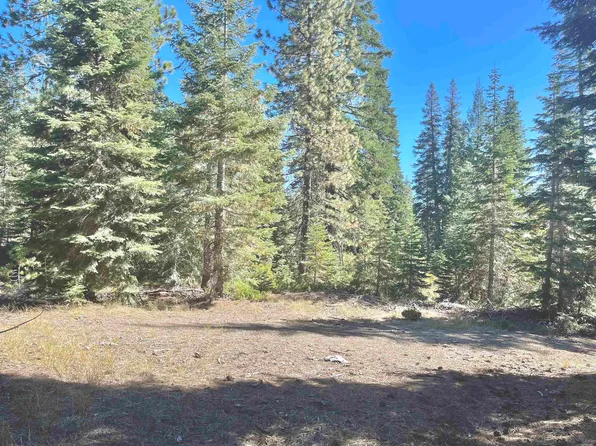 LOT 37 Echo Ct, McCloud, CA 96057