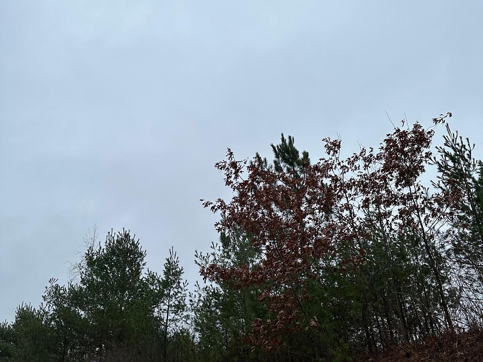 2nd image of On Swamp Lake Rd #4069-12