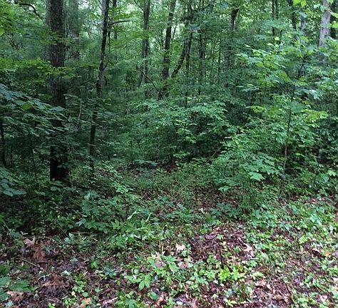 2nd image of 805 Whispering Pine Trl