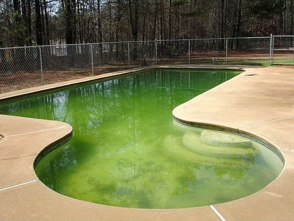 Gunite Pool in Excellent Shape (just needs to be opened for season)