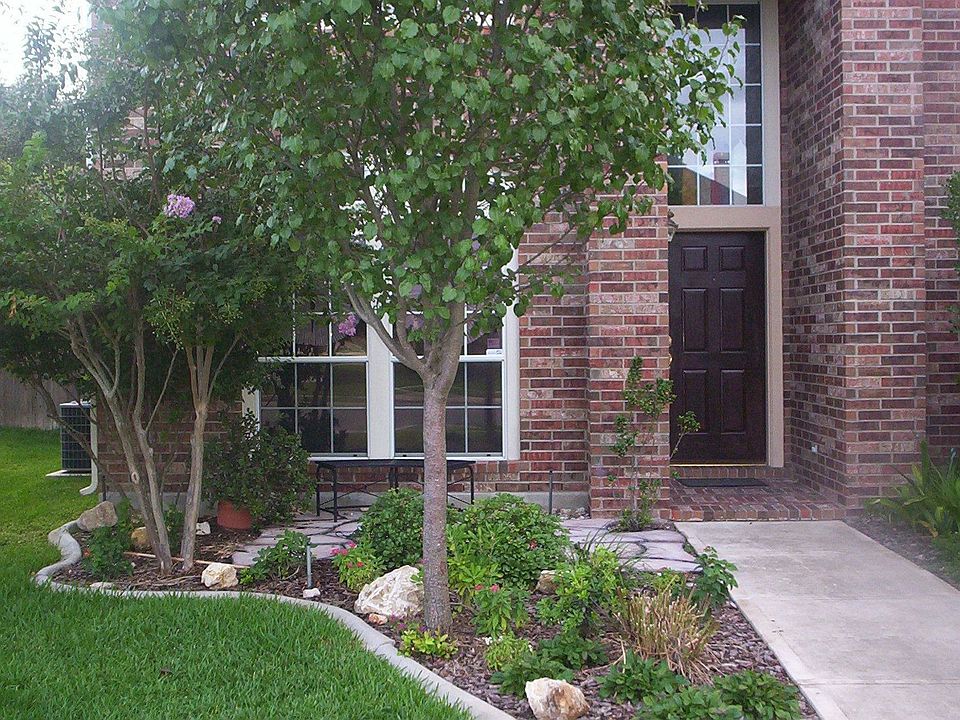 Front of house