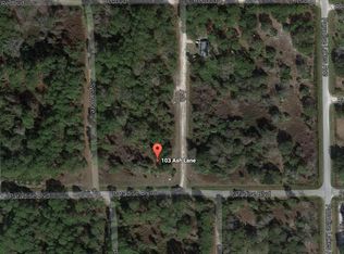 103 Ash Ln #1, Georgetown, FL 32139
