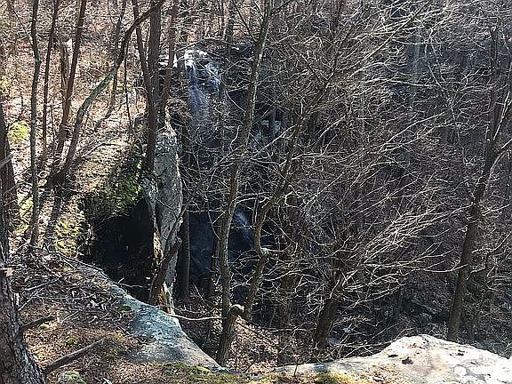 5th image of 1050 Woodland Trl