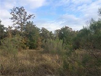 4th image of 10 Acres Pr #2016